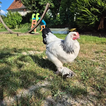Modern And Idyllic Appartement Jettingen-Scheppach